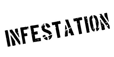 İstila pencere boyutu