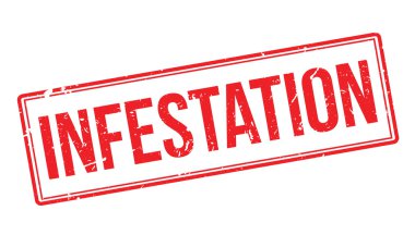 İstila pencere boyutu