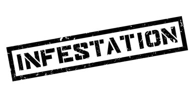 İstila pencere boyutu