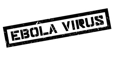 Ebola virüsü pencere boyutu