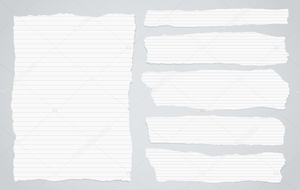 Pieces of torn white lined notebook paper on gray background