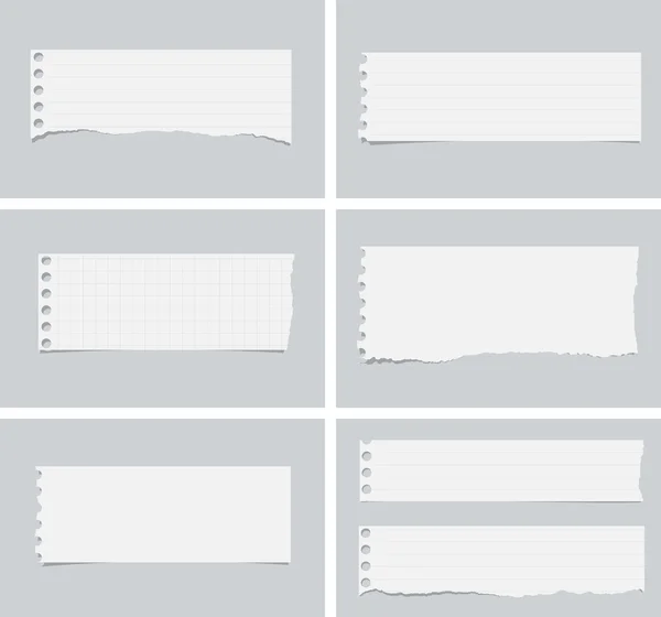 Pieces of ripped white lined, squared and blank notebook paper are stuck on gray background — Stock Vector