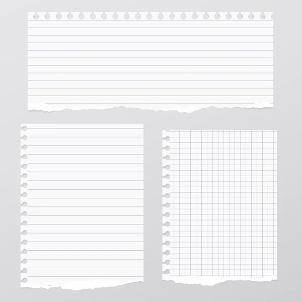 Pieces of torn white lined, squared notebook paper are stuck on gray background — Stock Vector