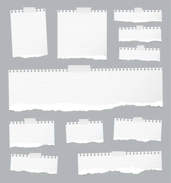 Pedaços de papel de caderno forrado branco cortado estão presos no fundo cinza — Vetor de Stock
