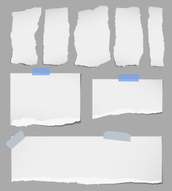 Yapışkan bant çeşitli gri yırtık Not kağıt parçası arka plan üzerinde sıkışmış