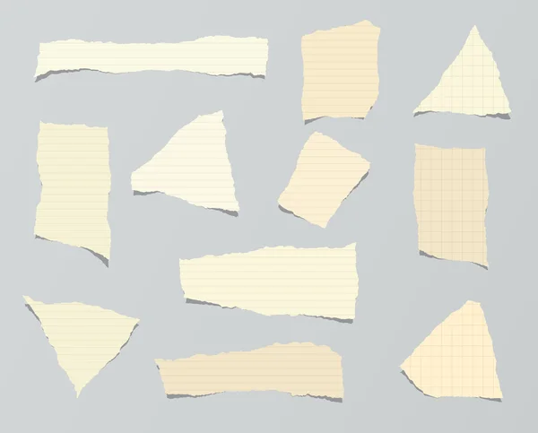Stücke gerissenen braunen linierten Papiers. — Stockvektor