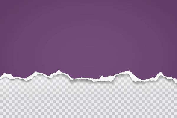 Un pedazo de tira de papel púrpura rasgada y rasgada con sombra suave está sobre un fondo gris transparente para el texto. Ilustración vectorial — Archivo Imágenes Vectoriales