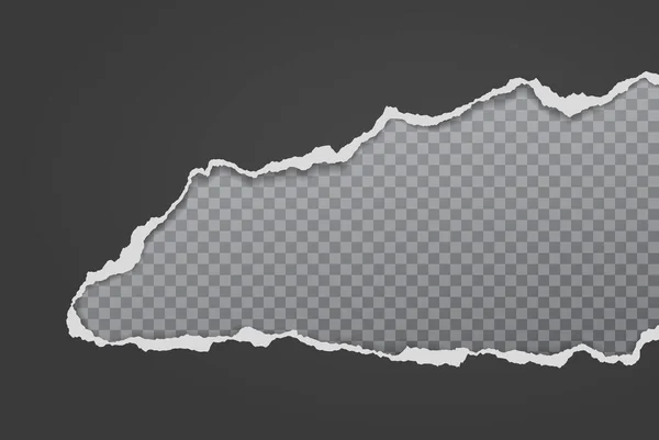 Un pedazo de papel negro rasgado y desgarrado con una sombra suave está sobre un fondo gris transparente para el texto. Ilustración vectorial — Vector de stock