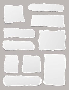 Set of torn white note, notebook paper pieces stuck on gray vertical background. Vector illustration