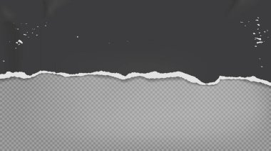 Yırtık, yırtık, yatay, buruşuk, yumuşak gölgeli siyah kağıt parçası gri şeffaf arkaplanda yazılı. Vektör illüstrasyonu