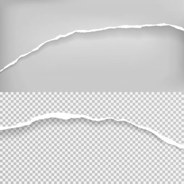 Yırtılmış, yumuşak gölgeli beyaz kağıt şeritlerin parçaları gri, saydam arka planda yazılı. Vektör illüstrasyonu
