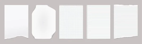 Wit gescheurd, gevoerd en blanco notitie, notebook papier zijn op grijze achtergrond voor tekst, reclame of ontwerp. Vectorillustratie — Stockvector