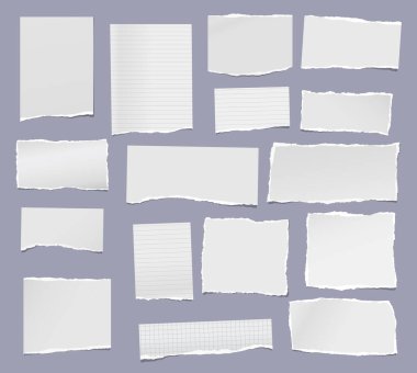 Beyaz yırtık, çizgili ve boş not defteri, açık mavi arka planda metin, reklam ya da tasarım için. Vektör illüstrasyonu