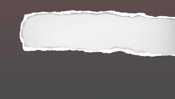 Yırtık kenarları ve yumuşak gölgesi olan koyu gri kağıttaki dikdörtgen delik kompozisyonu beyaz arkaplanda. Vektör illüstrasyonu — Stok Vektör