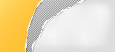 Yırtık, yırtık sarı ve gri kareli yumuşak gölgeli kağıt şeritler beyaz arka planda yazılı. Vektör illüstrasyonu