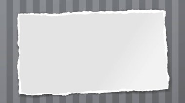 Yırtılmış, yumuşak gölgeli beyaz kağıt şerit metin için arka planda. Vektör illüstrasyonu