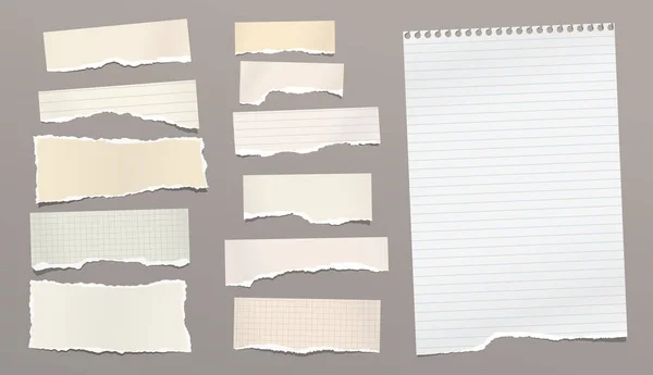 Conjunto de rayas de papel amarillo desgarrado y nota, hoja de cuaderno pegado sobre fondo marrón. Ilustración vectorial — Archivo Imágenes Vectoriales