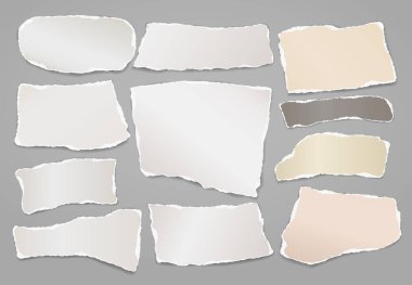 Yırtık beyaz ve renkli notlar seti, not defteri kâğıdı şeritleri yazı, reklam ya da tasarım için gri arka planda. Vektör illüstrasyonu