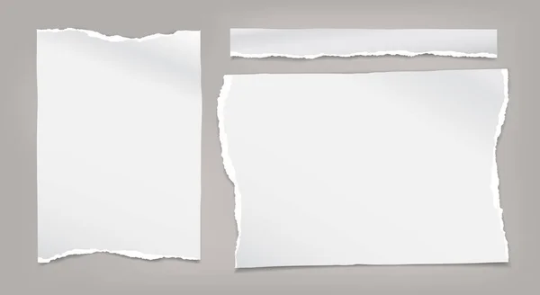 Набор порванной белой ноты, полоски бумаги ноутбука на сером фоне для текста, рекламы или дизайна. Векторная иллюстрация — стоковый вектор