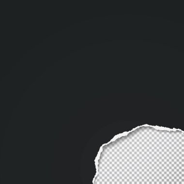 Yırtık kenarlı ve yumuşak gölgeli kağıt içerisindeki kara delik bileşimi kare arkaplandadır. Vektör illüstrasyonu