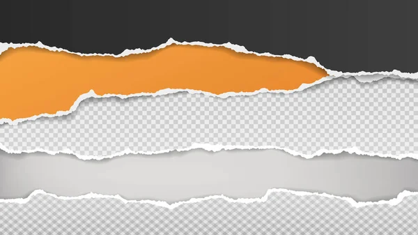Les bandes de papier déchiré, orange et noir avec ombre douce sont sur fond gris pour le texte. Illustration vectorielle — Image vectorielle