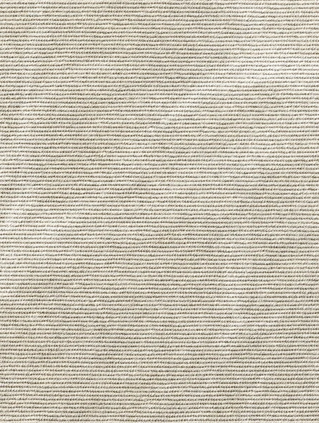 Textura limpa da serapilheira — Fotografia de Stock