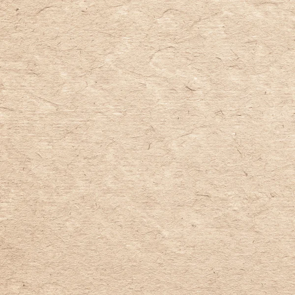 Brown parchment paper texture — Stock Photo, Image