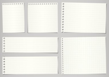 Yırtık defter kağıtları çizgileri ve gri arka plan üzerinde ızgara kümesi