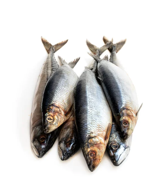 Peixes Arenque Crus Isolados Sobre Fundo Branco — Fotografia de Stock