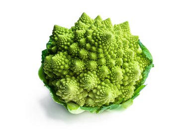 Romanesco karnabaharı beyaz bir karnabaharda izole edilmiş. 