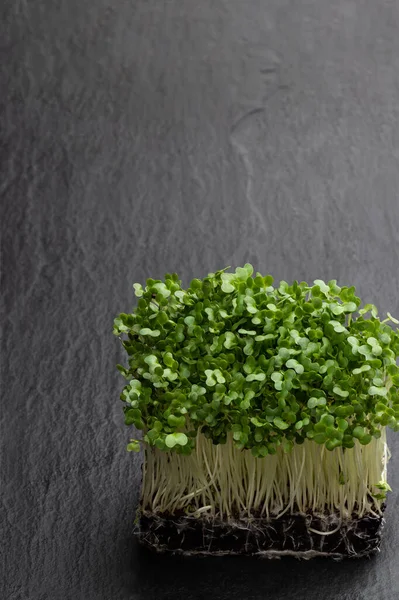 Ensalada Berro Aislada Sobre Fondo Blanco — Foto de Stock