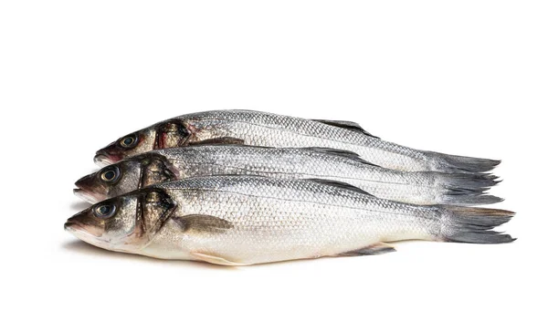 Syrové Celé Mořské Ryby Izolované Bílém — Stock fotografie