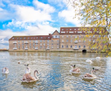 Huntingdon great ouse nehir banka