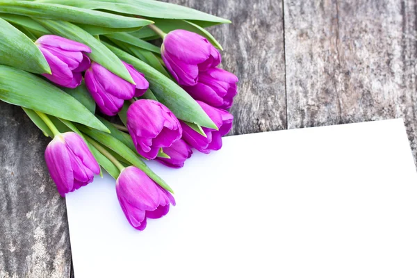 Violet tulpen op eiken bruin tafel met wit vel papier — Stockfoto