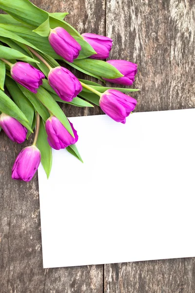 紫郁金香橡木棕色与白色纸 4 桌上 — 图库照片