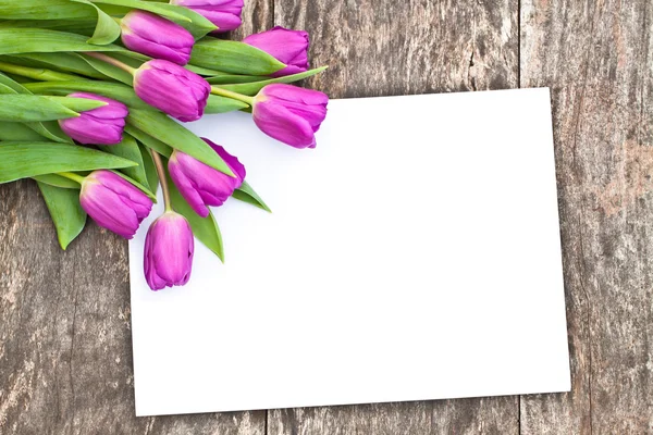 Violet tulips on the oak brown table with white sheet of paper 5 — Stock Photo, Image