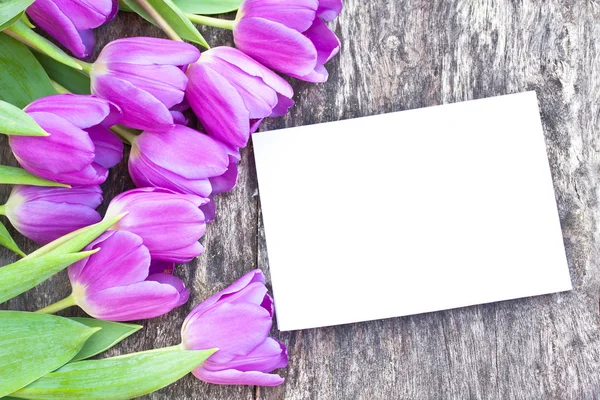 Violet tulips on the oak brown table with white sheet of paper 6 — Stock Photo, Image