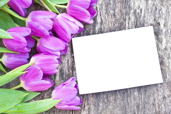 Violet tulips on the oak brown table with white sheet of paper 6 Stock Photo