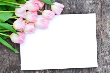 pap beyaz levha ile kahverengi meşe masada hafif Pembe Laleler