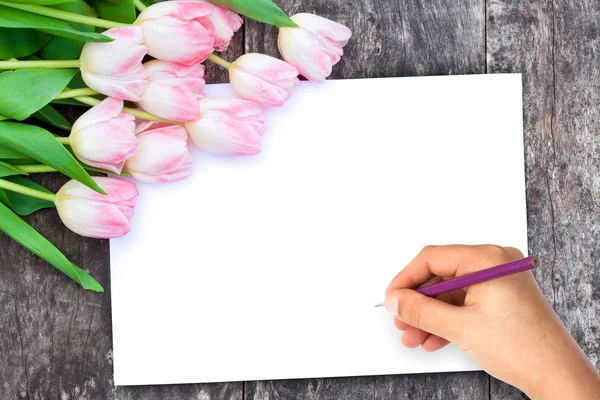 Light pink tulips on the oak brown table with white sheet of pap — Stock Photo, Image