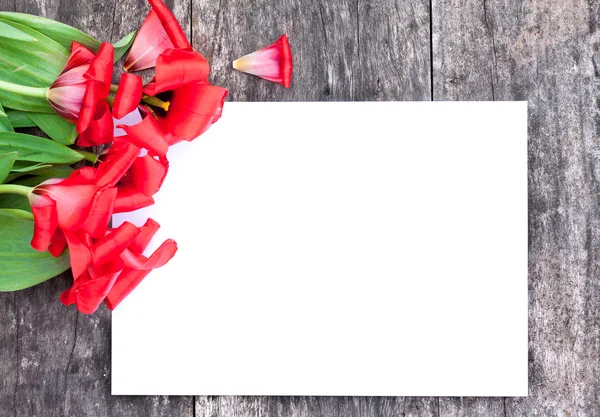 Faded red tulips on the oak brown table with white sheet of pape — Stock Photo, Image