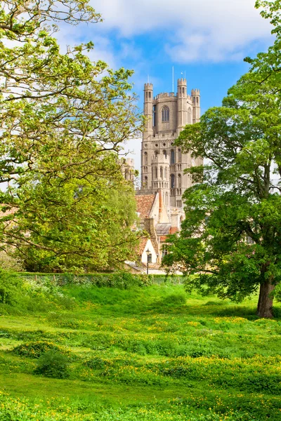 Ely catedral no dia ensolarado da primavera — Fotografia de Stock