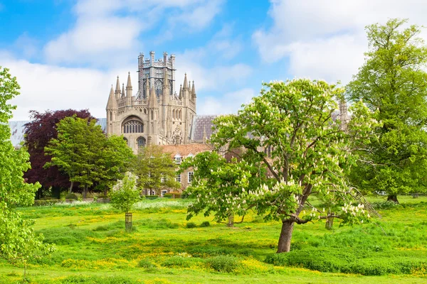 Ely cathedral in sunny spring day — Stock Photo, Image