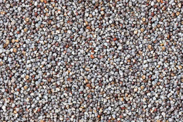 Seamless poppy grains close up background — Stock Photo, Image