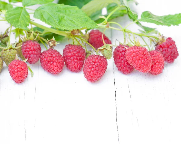 Macro image de framboise fraîche sur table blanche — Photo