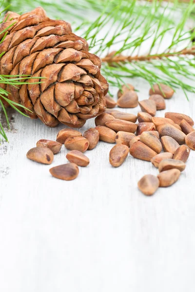 Cedar noten en cedar kegels op witte achtergrond — Stockfoto