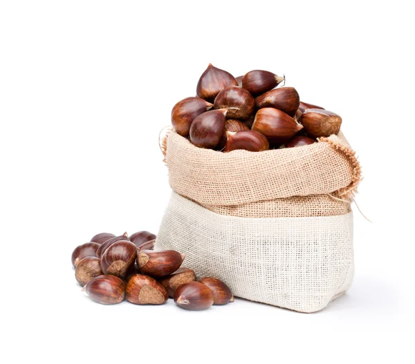 Fresh  chestnuts in sack bag on white background — Stock Photo, Image