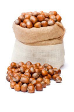 beyaz zemin üzerine çuval çanta içinde taze fındık 