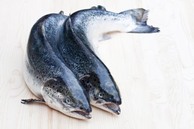 Tüm çiğ salmons ahşap arka plan üzerinde kapat  