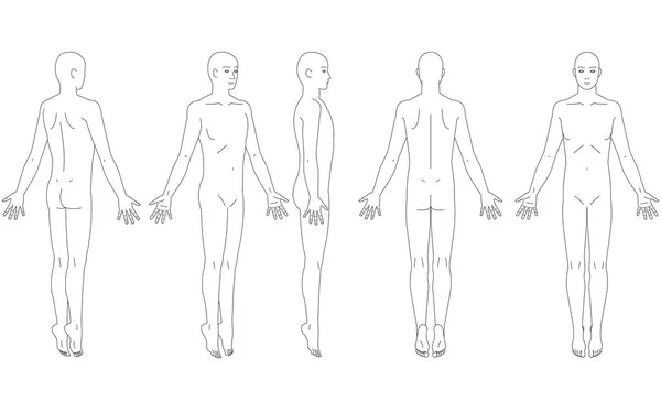 Ilustração Corpo Humano Esquema Homem — Vetor de Stock